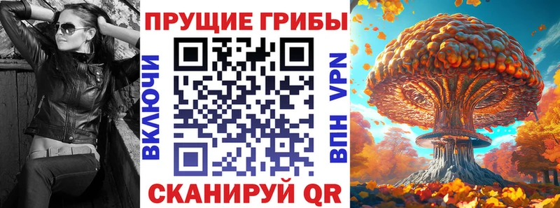 Галлюциногенные грибы MAGIC MUSHROOMS  OMG как зайти  Зея 