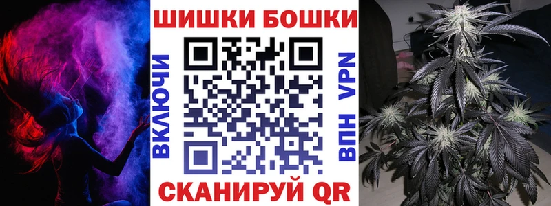 купить наркотики сайты  Зея  darknet наркотические препараты  Шишки марихуана сатива 